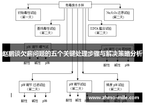 赵鹏谈欠薪问题的五个关键处理步骤与解决策略分析 赵鹏谈欠薪问题的五个关键处理步骤与解决策略分析