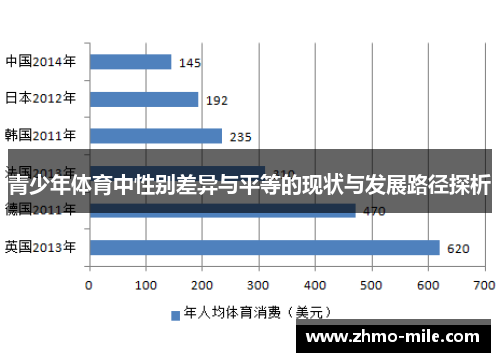 青少年体育中性别差异与平等的现状与发展路径探析