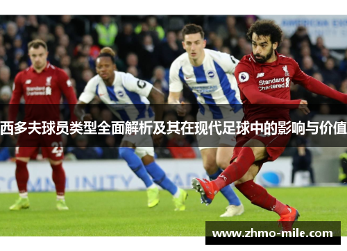 西多夫球员类型全面解析及其在现代足球中的影响与价值