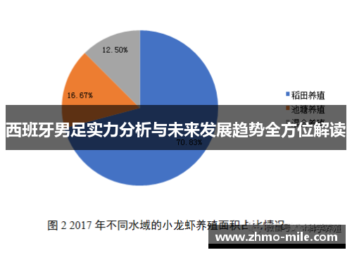西班牙男足实力分析与未来发展趋势全方位解读