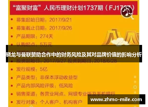 骁龙与曼联赞助合作中的财务风险及其对品牌价值的影响分析